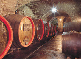 Vinařské sklepy Roudnice nad Labem